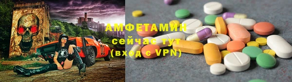 СК Новодвинск