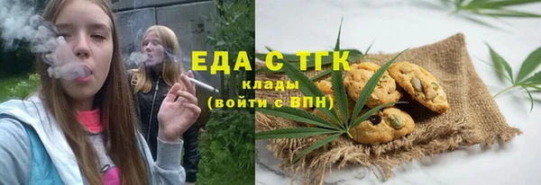 СК Новодвинск