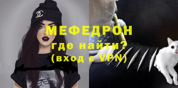 мдпв Новозыбков