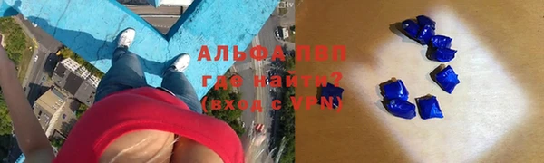 мдпв Новозыбков