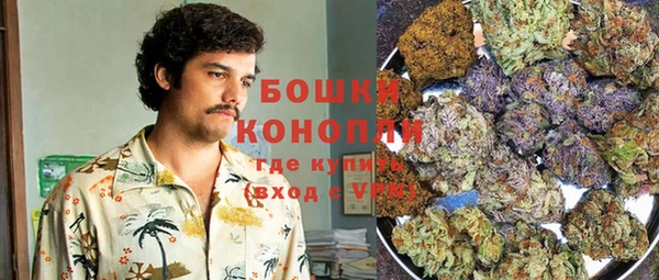 дмт Новокубанск