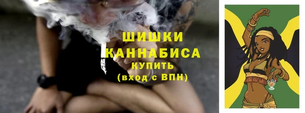 дмт Новокубанск