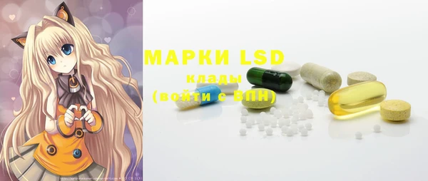 мдпв Новозыбков