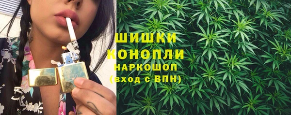дмт Новокубанск