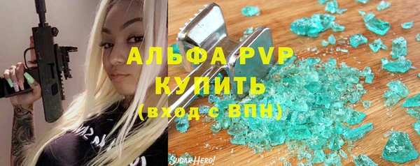 СК Новодвинск