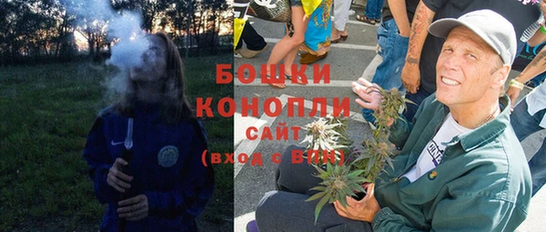 мдпв Новозыбков