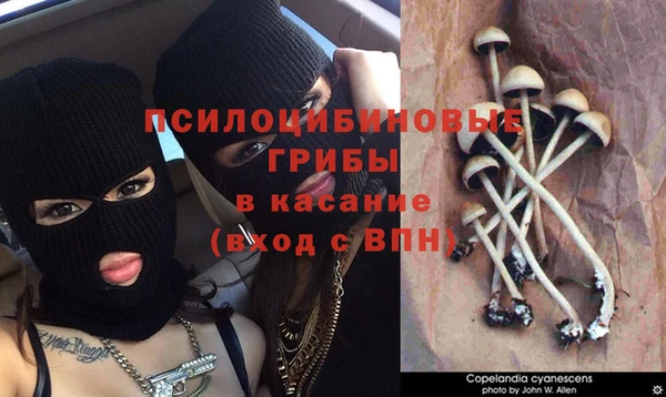 СК Новодвинск