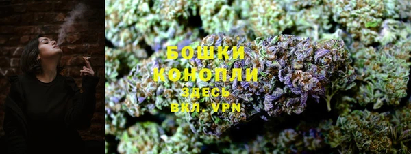 мдпв Новозыбков