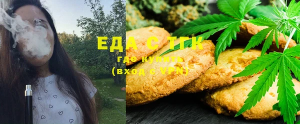 мдпв Новозыбков
