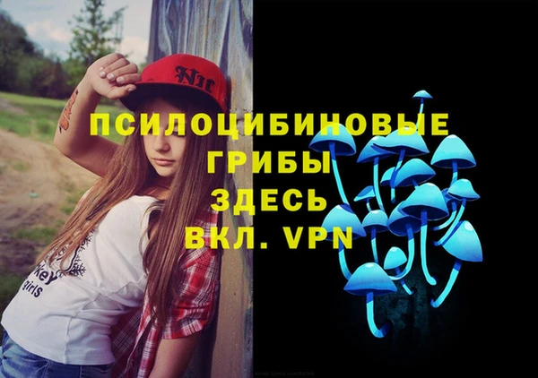 СК Новодвинск