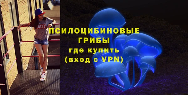 дмт Новокубанск