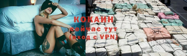 мдпв Новозыбков