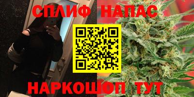 прущие грибы Ипатово
