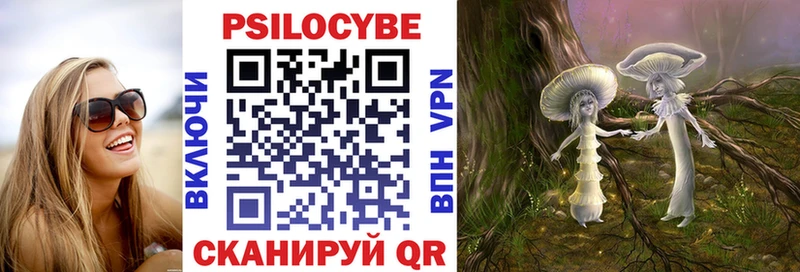 Галлюциногенные грибы Psilocybine cubensis  Люберцы 