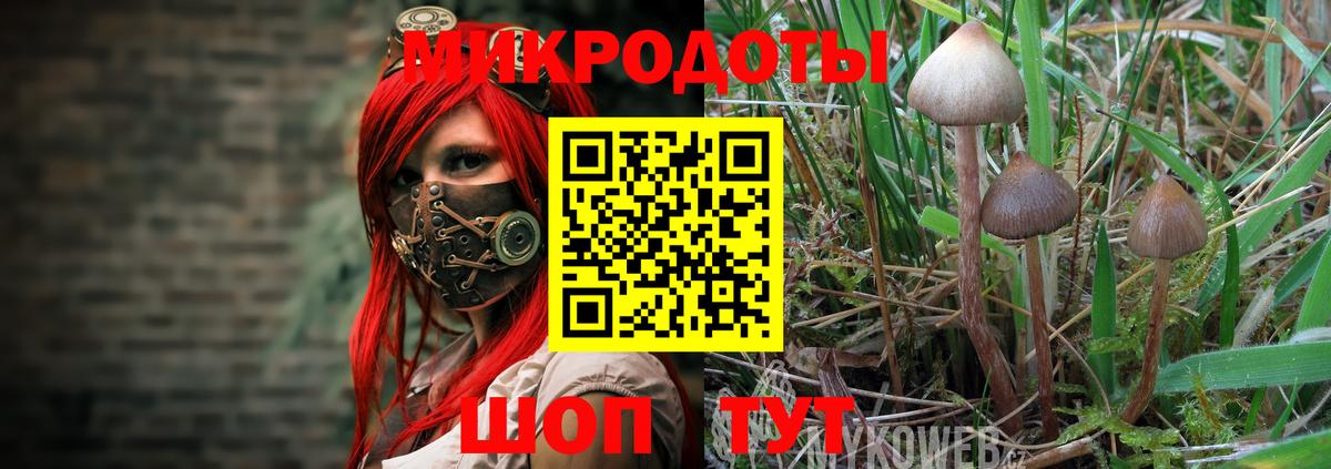 Галлюциногенные грибы Magic Shrooms Люберцы