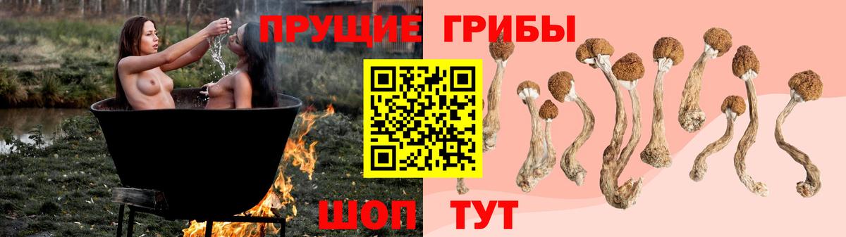 Галлюциногенные грибы прущие грибы  Вход с VPN  Люберцы 